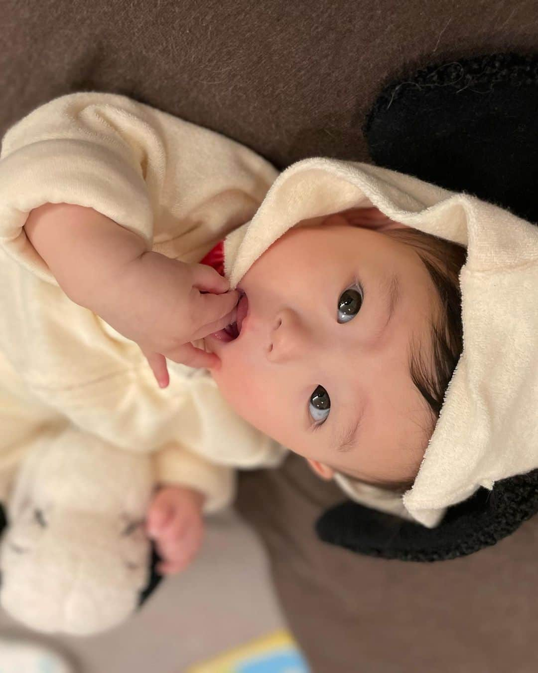 東なつ紀のインスタグラム：「ちょっと前なのにすごい👶🏻に感じる写真達、、、 来月で一歳かぁ🥺 早すぎるよう〜🥺  最近はつかまり立ちはお手のもの。 頑張ってバランスとりながら 歩く姿が愛おしい🤍🤍🤍  最高で5歩あるけたよ✌️  成長早すぎて、嬉しいけど寂しい、、」