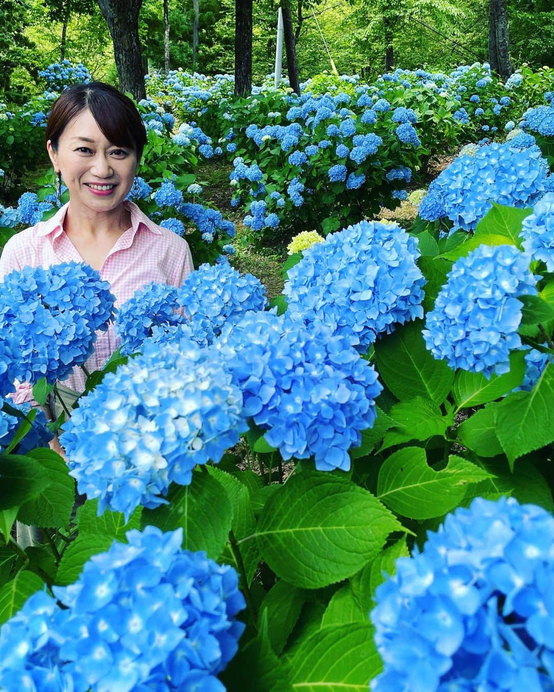 大隅智子のインスタグラム