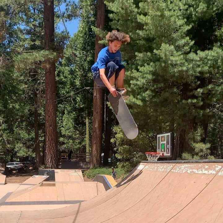 エンジョイのインスタグラム：「@tonelatham adventures in whispy woods. click link in bio」