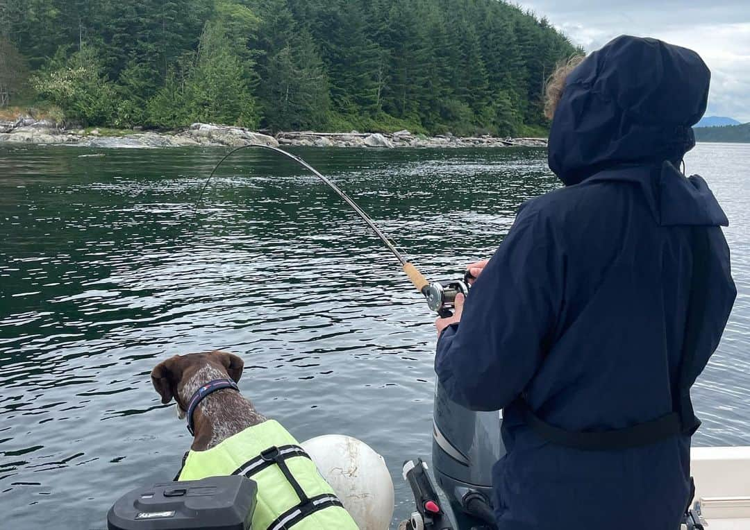 クリスチャン・マイケル・クーパーさんのインスタグラム写真 - (クリスチャン・マイケル・クーパーInstagram)「Fishin buddy🐾」7月17日 4時08分 - cooper.christian.michael