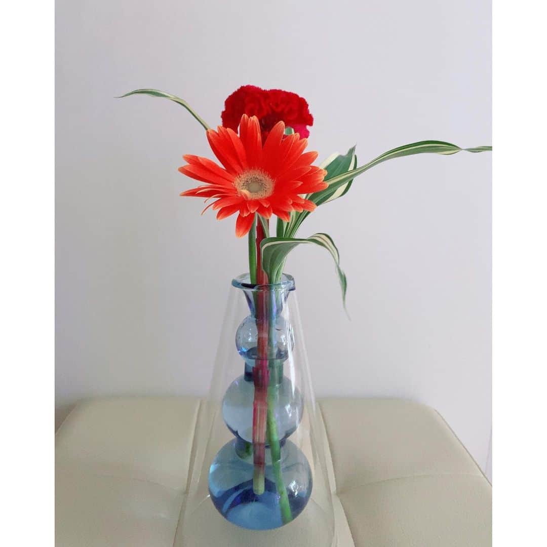 竹俣紅のインスタグラム：「🌿 最近は、お花を一輪挿しにして心癒されています☺️ ⁡ 今週は、本当にいろいろなことを考えさせられた一週間でした。 ⁡ 明日のイット、来週のめざまし8もよろしくお願いします。 ⁡ ⁡ #お花のある暮らし」