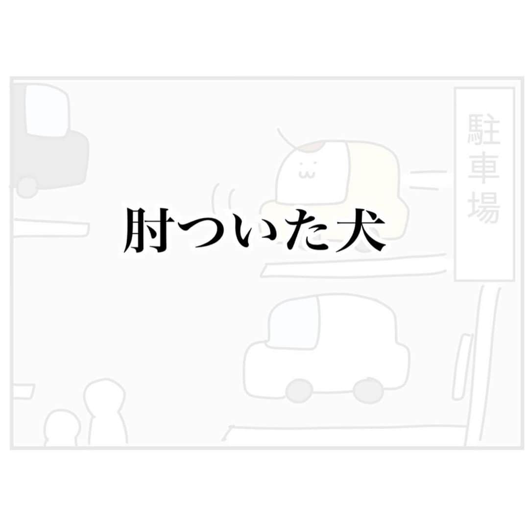 つんのインスタグラム：「犬と猫(ジョルノ)の話の2本です   #犬すごい見てくる  #ぼやけからのくっきり」