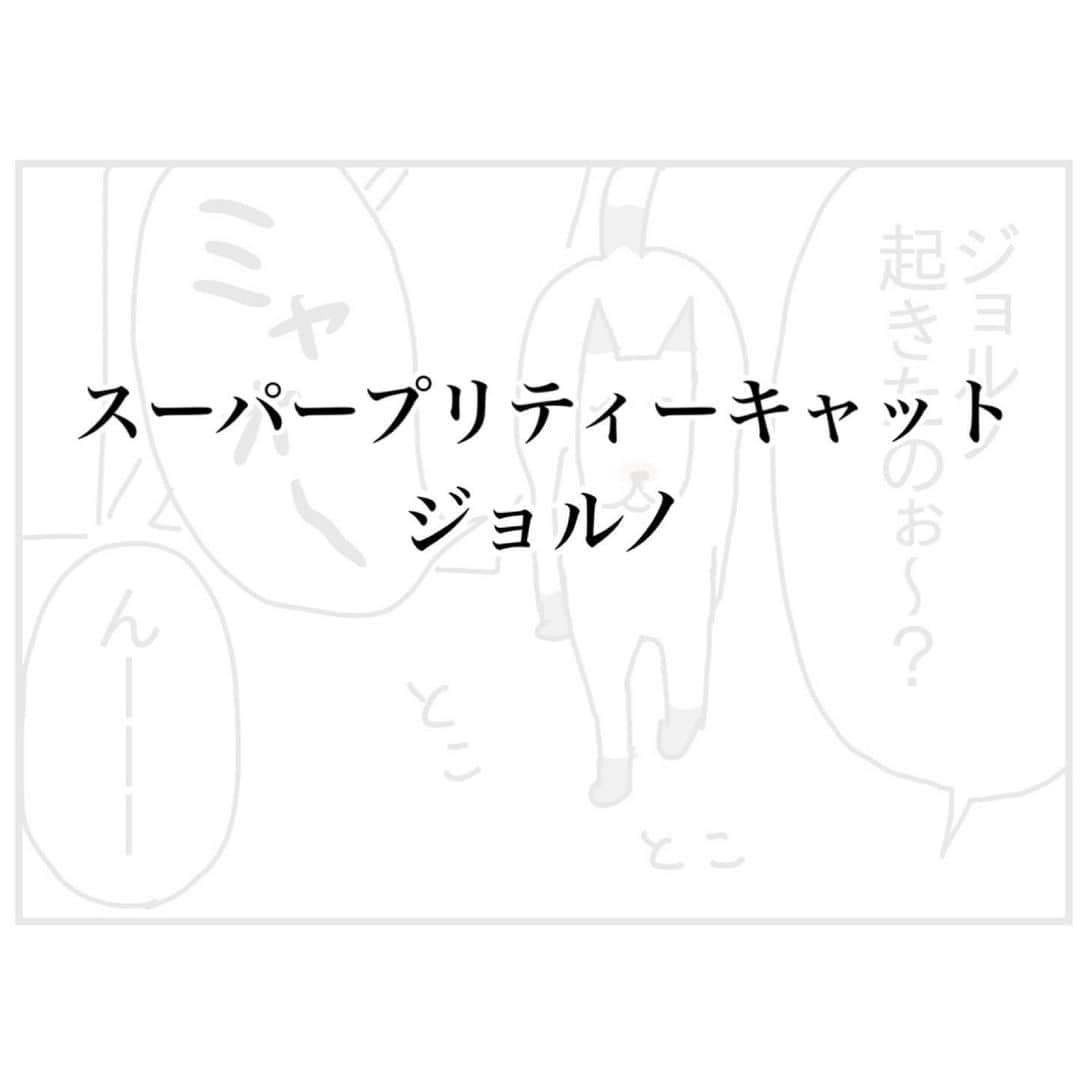 つんさんのインスタグラム写真 - (つんInstagram)「犬と猫(ジョルノ)の話の2本です   #犬すごい見てくる  #ぼやけからのくっきり」7月17日 10時28分 - yan_mugi