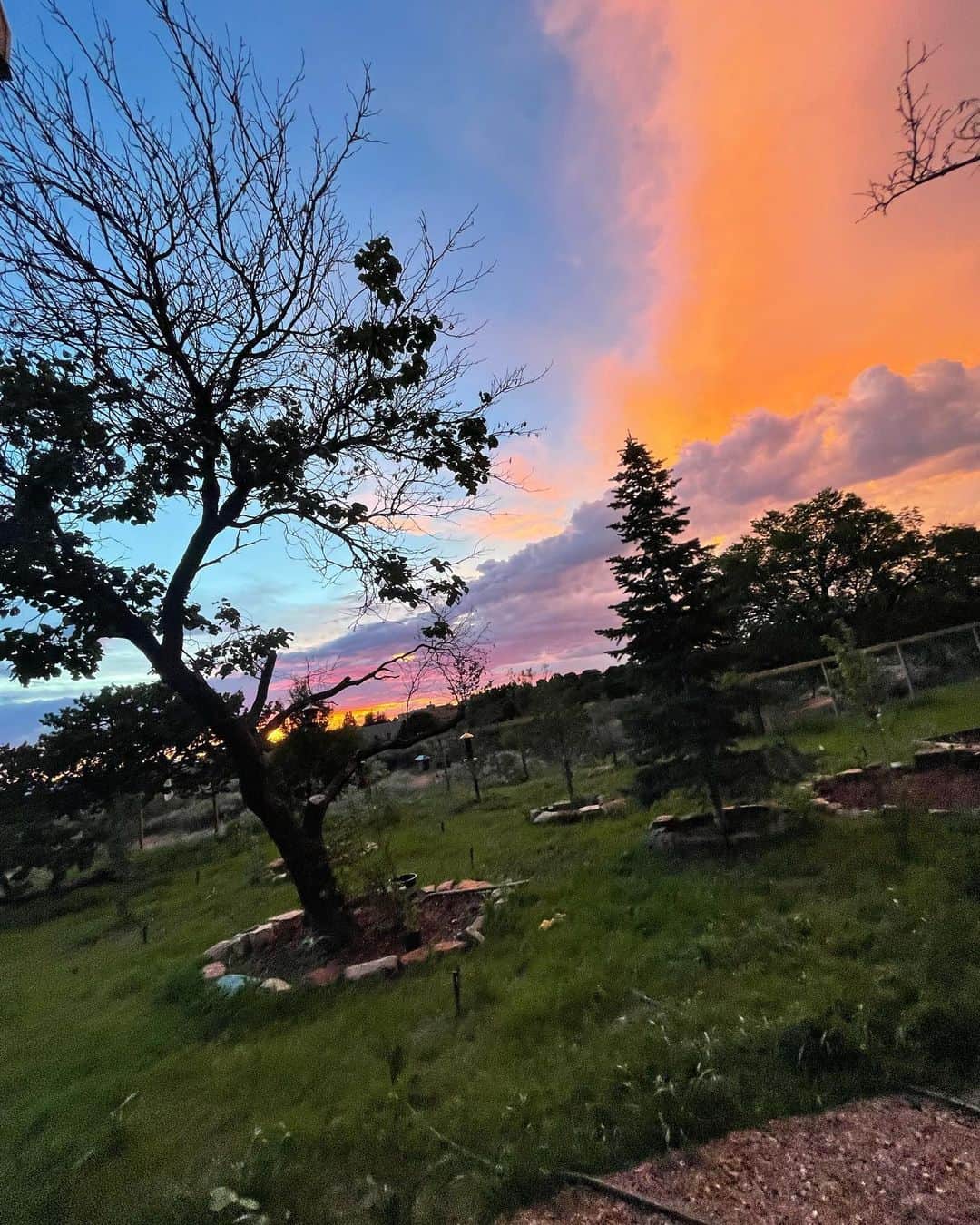 シャーロット・ケイト・フォックスのインスタグラム：「ニューメキシコの日没！ ほぼ毎晩,これを見ることができます。  From our backyard.  Everything is painted in pink!」