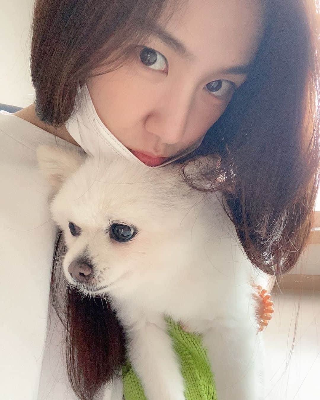 ソ・ジヘのインスタグラム：「Ari🐶」