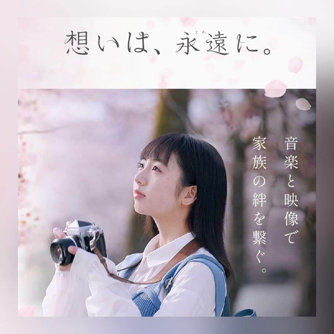 花田優里音のインスタグラム：「✨MV出演のお知らせです✨ ピアノ&ボーカルユニット🎹🎤アルケミスト 「想いは、永遠に。」という もうほんとにほんとに素敵な新曲の MVに出演しています。 桜の名所である冨士霊園で撮影をしました。 飾り気なく真っ直ぐ心に届いてくる あたたかい歌声の こんやしょうたろうさん、 満開の桜並木にデンッ！とグランドピアノ というすごいロケーションの中 ドンと優しく包み込むようなピアノの 井尻慶太さん、 お二人の素晴らしい曲から生まれたストーリーを キャストの皆さんスタッフの皆さんと一緒に 心を込めて大切に演じました。 ドローンで撮影された壮大な風景も とっても美しいです🏞 ぜひぜひ観てくださると嬉しいです☺️ https://www.fujireien.or.jp/omoiwa-towani/ . #MV #ミュージックビデオ  #想いは永遠に  #アルケミスト  #こんやしょうたろう さん #井尻慶太 さん  #花田優里音  #冨士霊園 #桜 #桜並木 #富士山 #ドローン #どろーん  #カメラ女子  (#幸せないい子の役だよありがとうございます)  #湿気全開のお天気が続いてますが  #どんな夏を過ごしますか？ #私はクーラーが効いた部屋でピアノを弾いて  #クーラーが効いた部屋でアイスを食べるのが幸せです  #寝っ転がって食べるのが幸せです  #元気に過ごしてね」