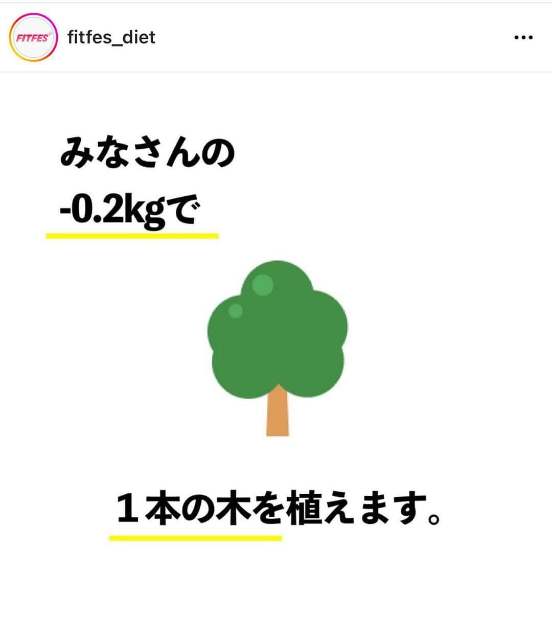 柏崎桃子のインスタグラム：「頑張ろうと思ったら残業がやって来て頑張れなかった…  落ち込みまくった夜、その連絡は来ました。  『ダイエットして木を植えませんか？』  『フェ？木？？』  私のダイエットの頑張りが植樹に繋がるそう！  一人で頑張れないならfitfesさん(@fitfes_diet )とダイエットで地球に優しいことやってみたいと思います！  今なら事前登録で🌳が植えられるみたい💪🏻  気になる方は @fitfes_diet  チェックしてみてね！  私は何本🌳植えられるかな🤔🍀  #ダイエット #diet #fitfes #サステナブル #植樹 #地球に優しい」