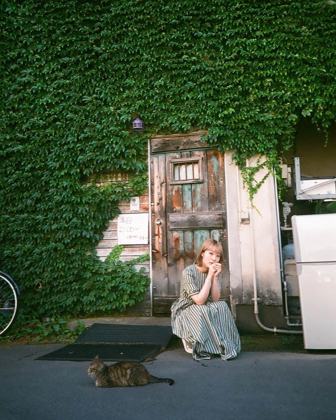 のインスタグラム：「🐈 初弘前市、街の色も空気も美しかった✨繊細で遊び心があって🙌祭りもいつかいってみたい！ 今日は海の日、フレンズ仙台ワンマン🫡❤️  #青森 #弘前市 #猫」