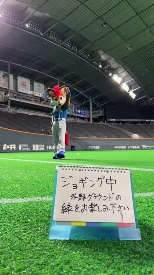 北海道日本ハムファイターズ フレップのインスタグラム