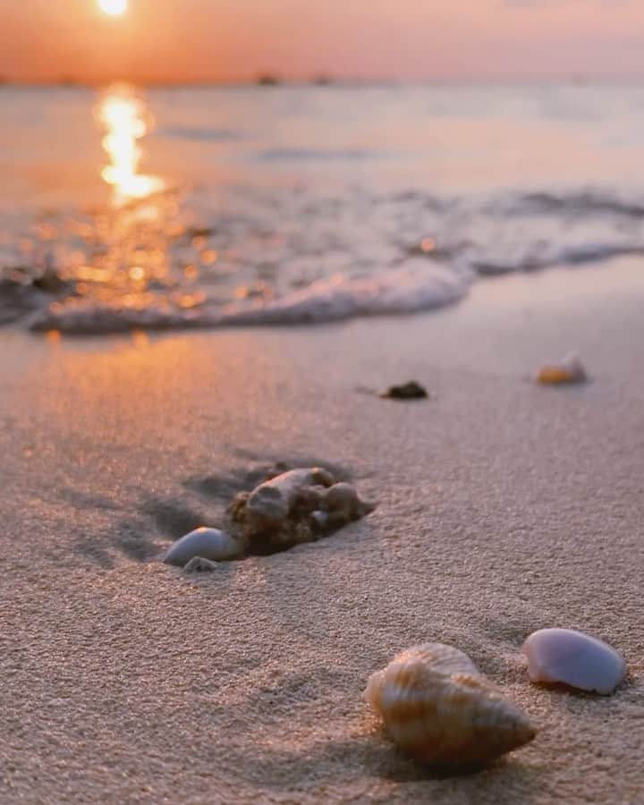 RUBYのインスタグラム：「是非音を楽しんでください🐚  #sunset  #サンセット」
