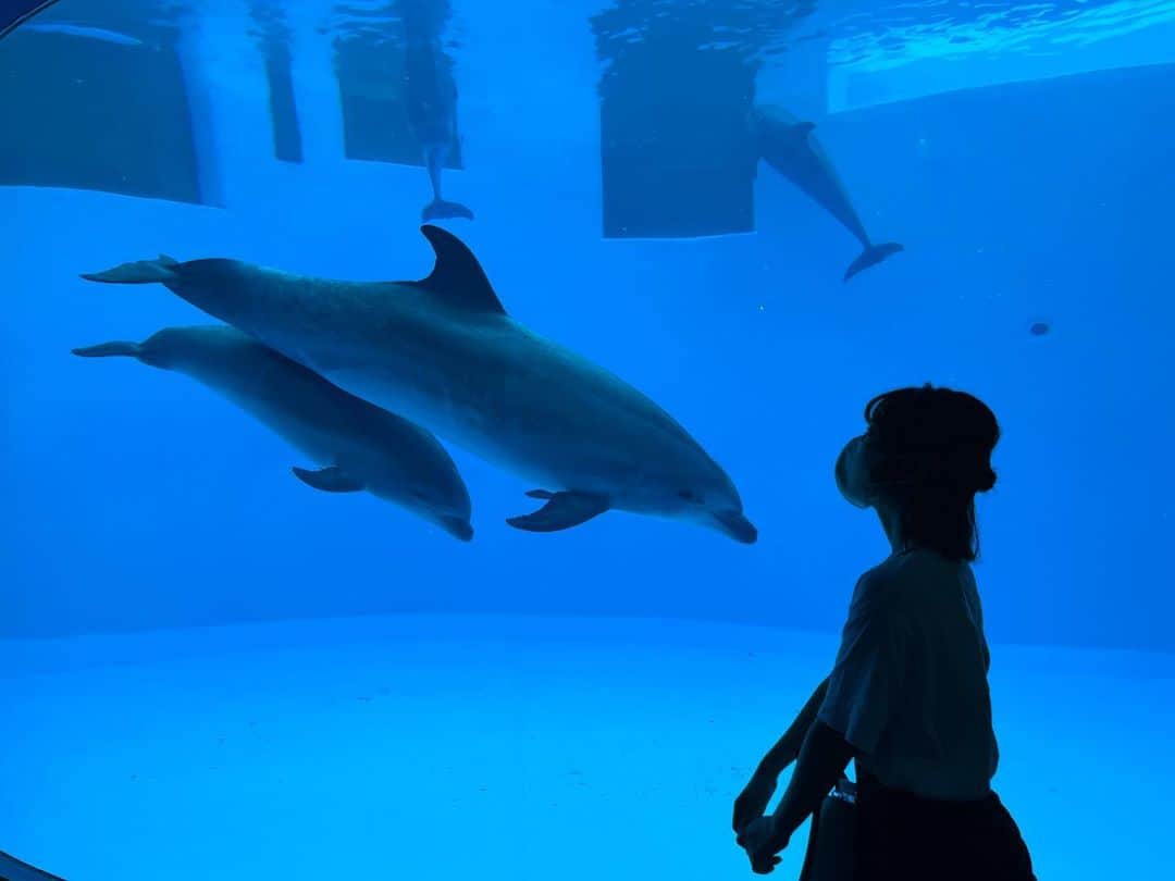 岩佐美咲のインスタグラム：「今日は海の日🐬　　　　　　　　　　 名古屋港水族館でのお写真を載せておきます。　　　　　　　　　 昨日御園座公演、千秋楽でした！6月の大阪新歌舞伎座からはじまり名古屋へ。　　　　　　　　 お越し頂いたすべての皆さまに感謝の気持ちでいっぱいです。　　　　　　　　　　　　　　 素晴らしい大先輩方とご一緒させて頂き勉強させて頂くことだらけの日々でした🥺✨　　　　　　　 　　　　　　　　　　　　　　　　 #名古屋港水族館 #水族館 #名古屋 #海の日 #イルカ #aquarium」