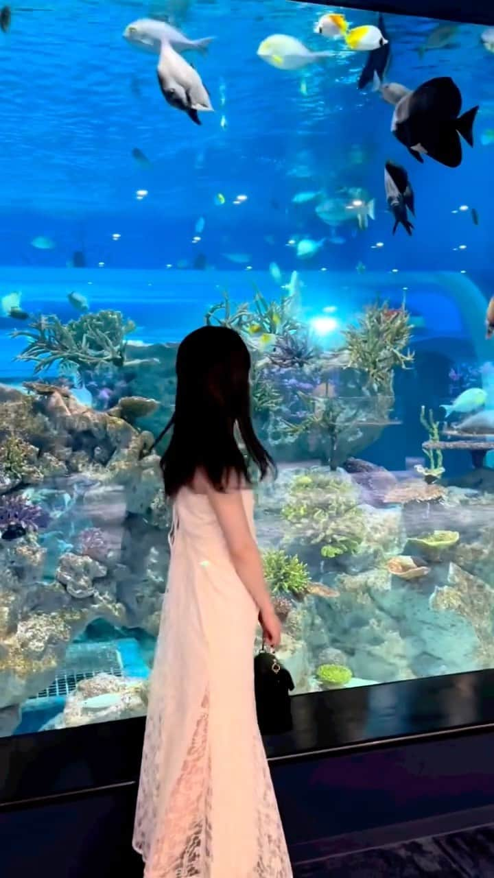 永瀬かこのインスタグラム：「水族館°･🐠 ・ ・ ・  #水族館  #水族館コーデ  #リール #かりゆし水族館 #沖縄旅行  #沖縄」