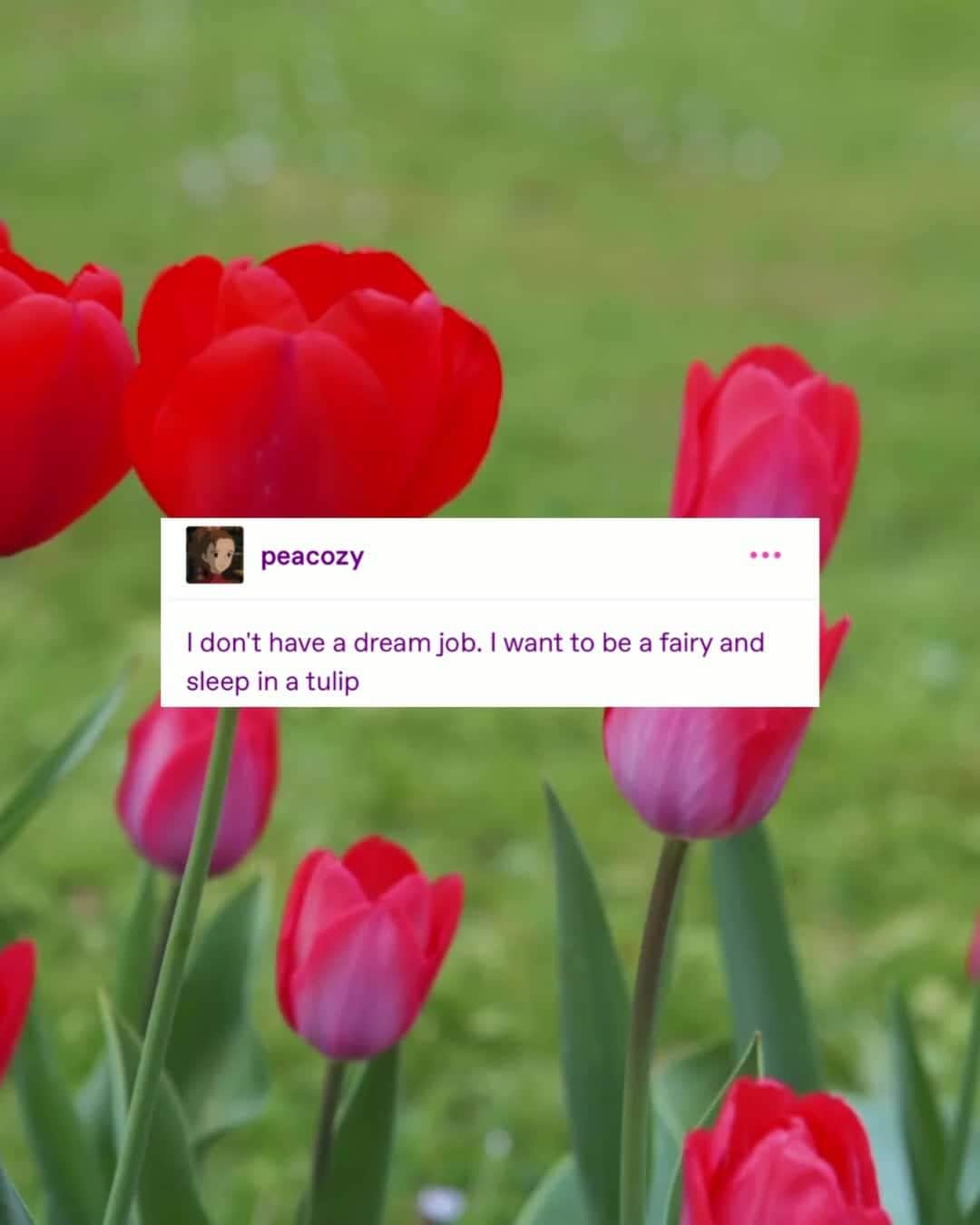 Tumblrのインスタグラム：「or under a mushroom 🍄」