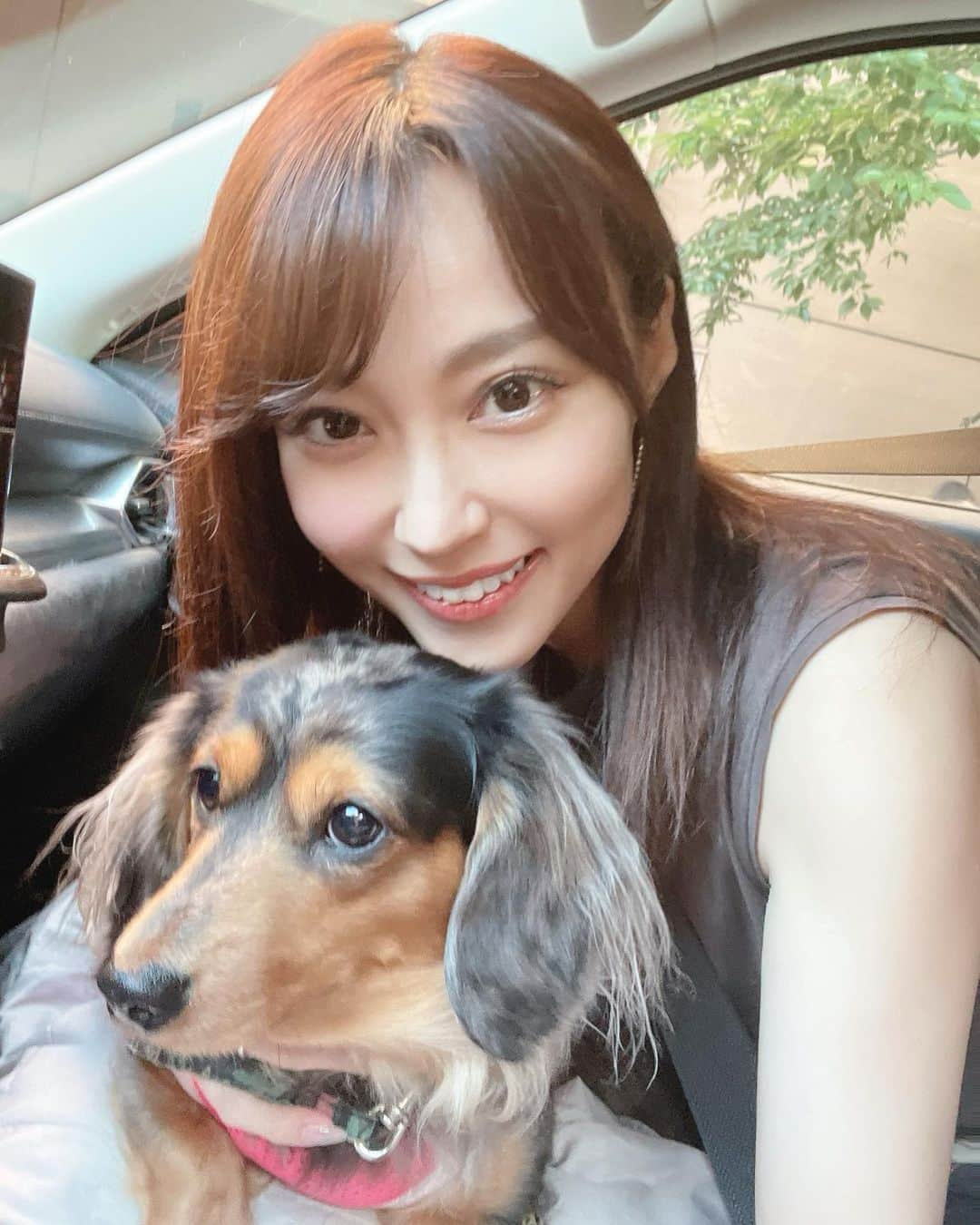 中川祐子のインスタグラム：「❤️🐶 . 全然カメラ目線をくれない シエルと カメラを向けると 最高の決め顔をくれる ウル💕 →でも一回決めたらソッポ向く🤣笑 . . あ、愛犬アカウント(@uruandciel ) 消えちゃいました😭😭 突然年齢確認の表示が出たので 思わずウルの誕生日を入力したら 未成年と判断されてしまったー😱 . フォローして下さっていた皆さま ごめんなさい🙏 また近いうちに作り直します💦 . #愛犬とドライブ #愛犬とおでかけ  #愛犬と一緒 #癒しタイム #ポメラニアン #カニンヘンダックス  #性格が真逆 #2匹飼い #大変だけど楽しい #癒しわんこ  #doggylove #mydoggies #meandmydoggies」