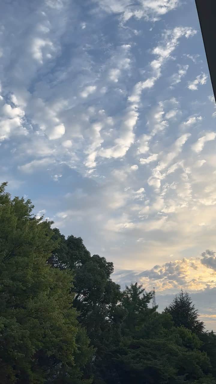 のインスタグラム：「朝5:00の空。 最近は4時半に日の出なので娘も早起きに。  蝉が鳴き、緑がより深くなってきた。  少しの悩みや不安は、 窓を開けて、深呼吸し、緑や空を眺めたらリセットされるようになった。  自然の力。  さて今日も頑張る💪🏻」