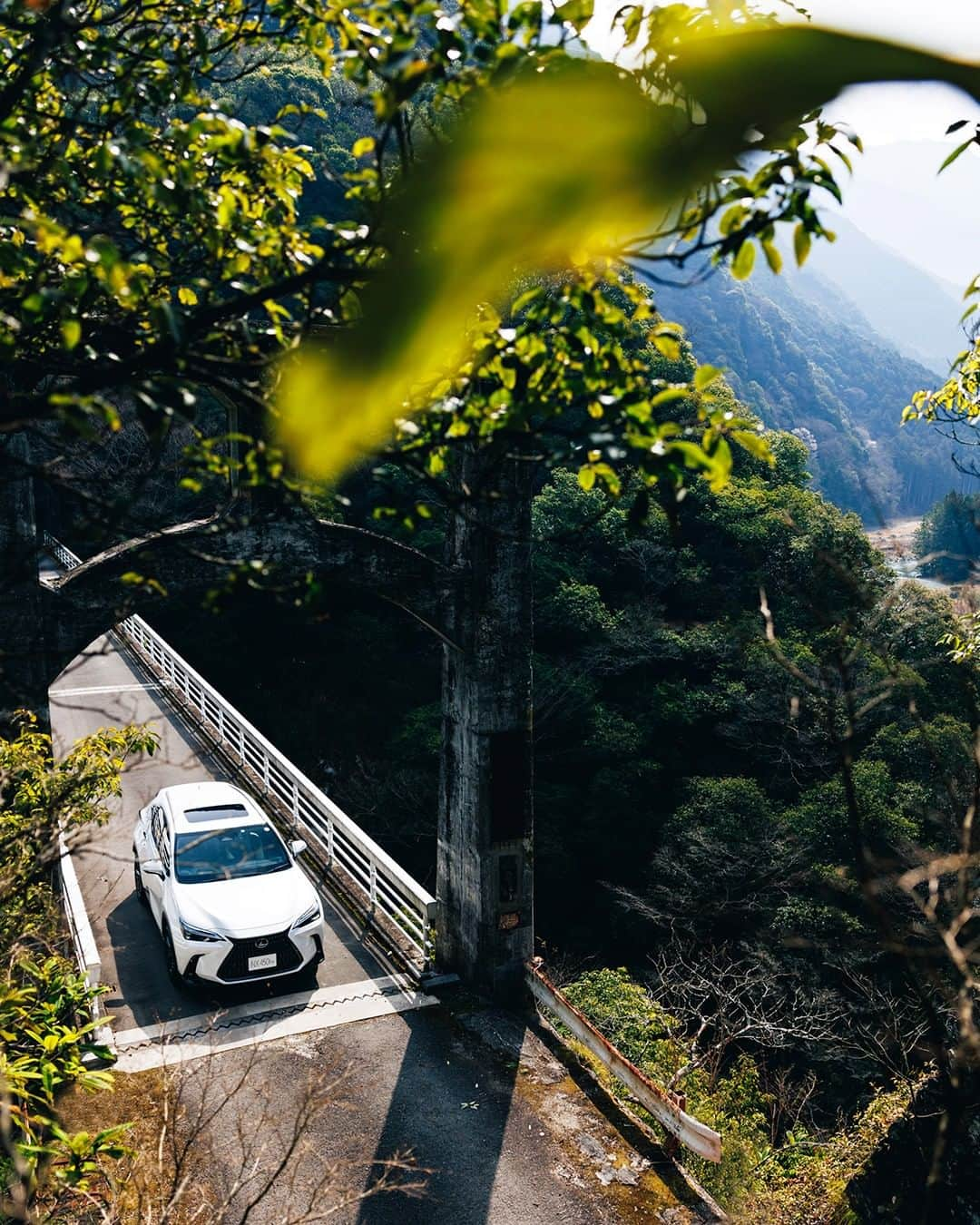 LEXUS / レクサスのインスタグラム：「- LEXUS NX -  #Lexus #LexusNX #NX #lexusgram  #lexuslife #lexusjpphotography #SUV #luxurysuv #carsofinstagram #carlifestyle #carphotography #LexusGallery  #drive #whitecar #luxury #lexusnation #dailylexus #carlovers #carlove #carscene #caraddict #carculture #automobiles #fastcar #carnews #carcollection #nicecar #instacars #automotivephotographer」