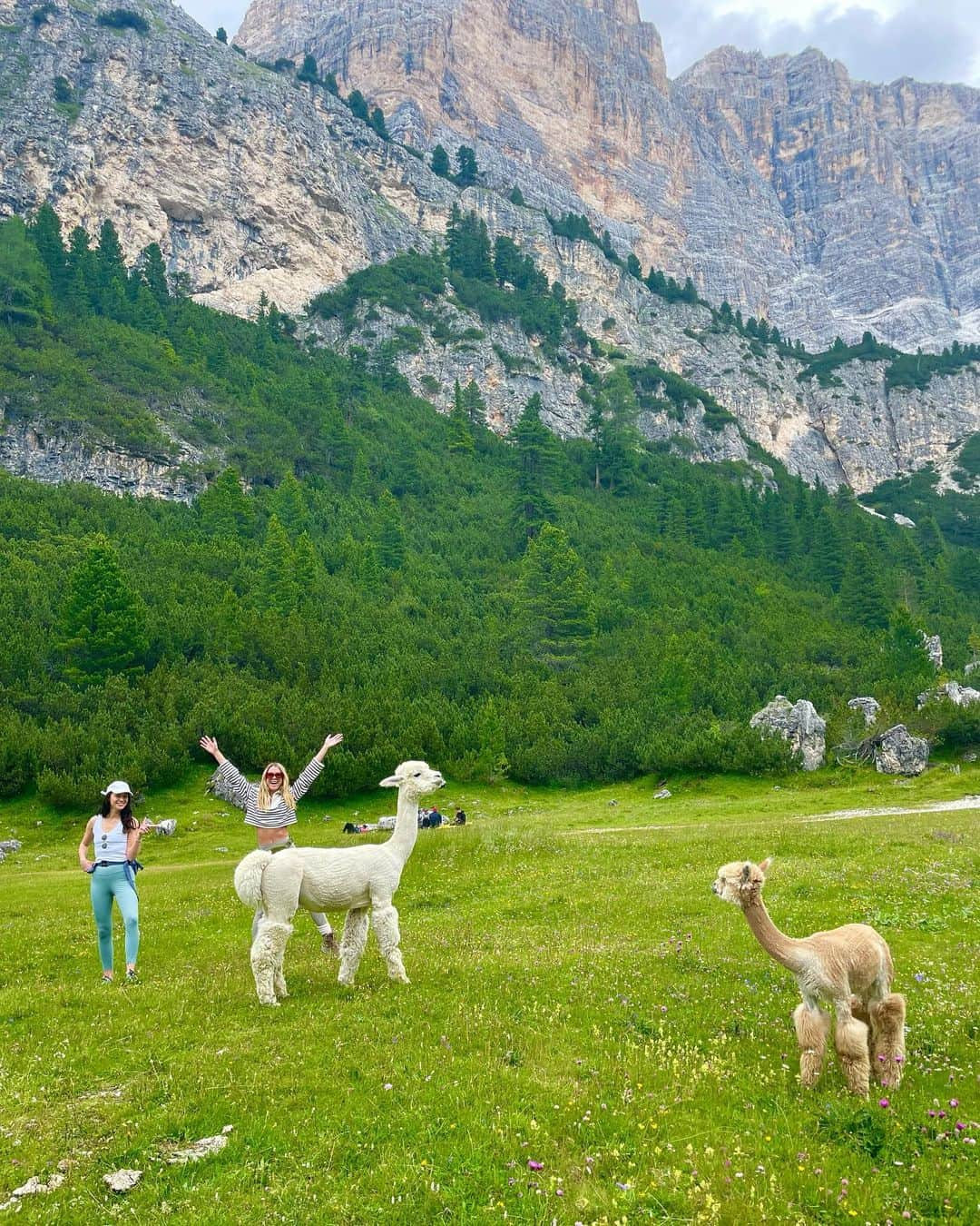 さんのインスタグラム写真 - (Instagram)「🧗‍♂️」7月19日 12時07分 - deniseschaefer