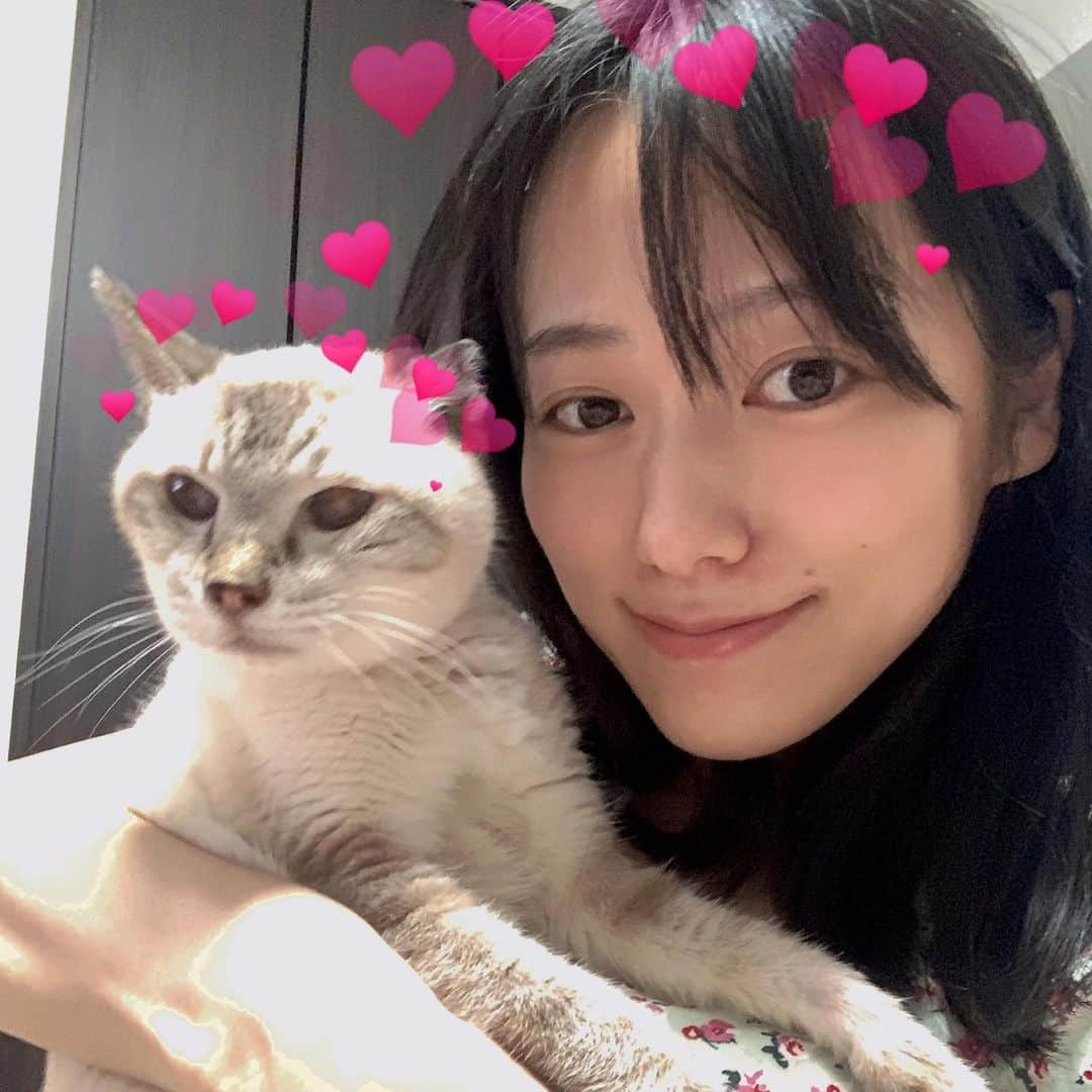 柏木美里さんのインスタグラム写真 - (柏木美里Instagram)「HAPPY BIRTHDAY🎂MY LOVE😻 さくらさん22歳になりました❗️  こんなに長寿だと思わなかった😅 でも元気でいてくれてありがとう✨✨  #22歳猫 #ご長寿猫 #元気です #ふわもふ部猫」7月19日 18時07分 - misato_kashiwagi