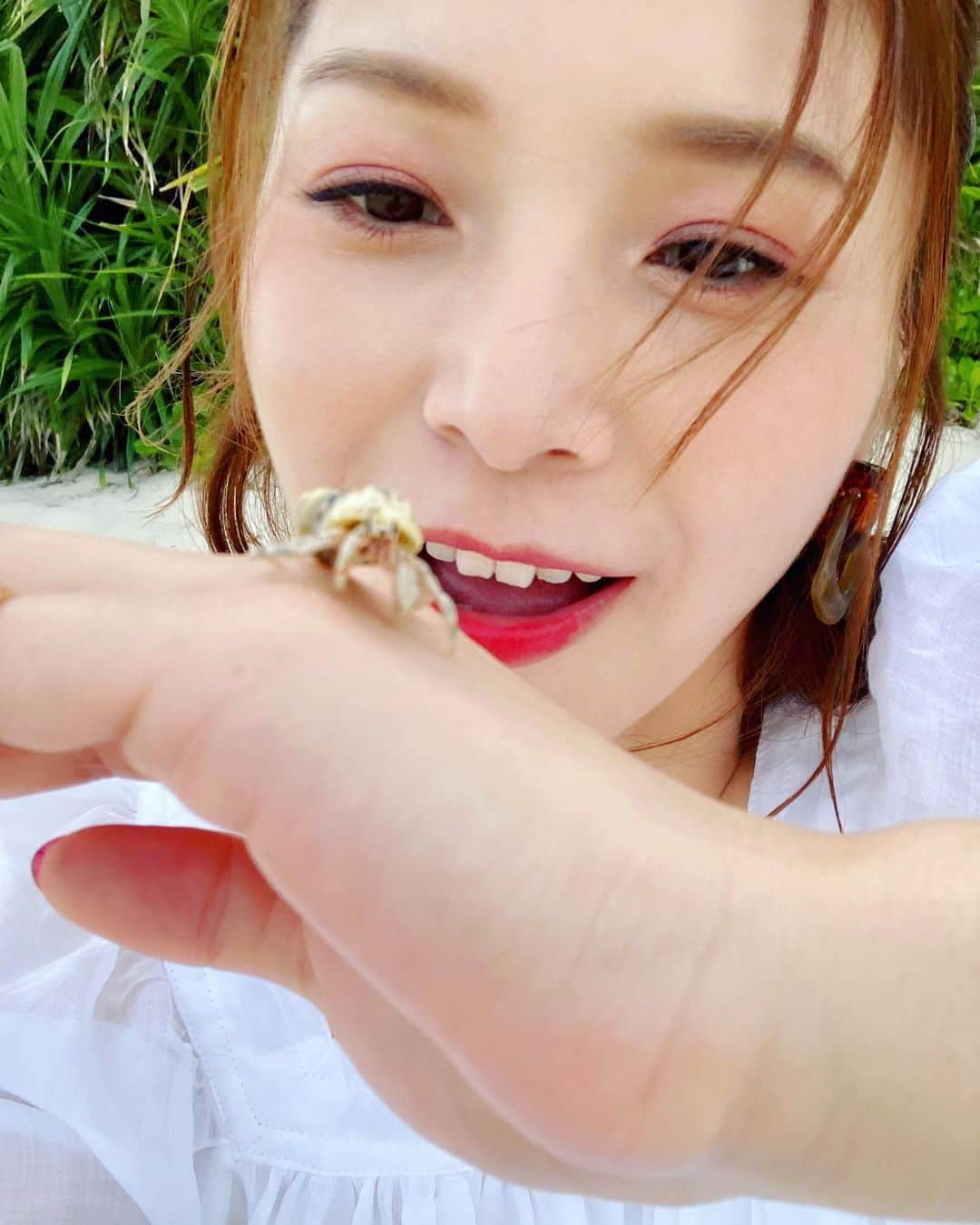 新田恵海のインスタグラム：「ヤドカリにピントが合わない〜🏝」