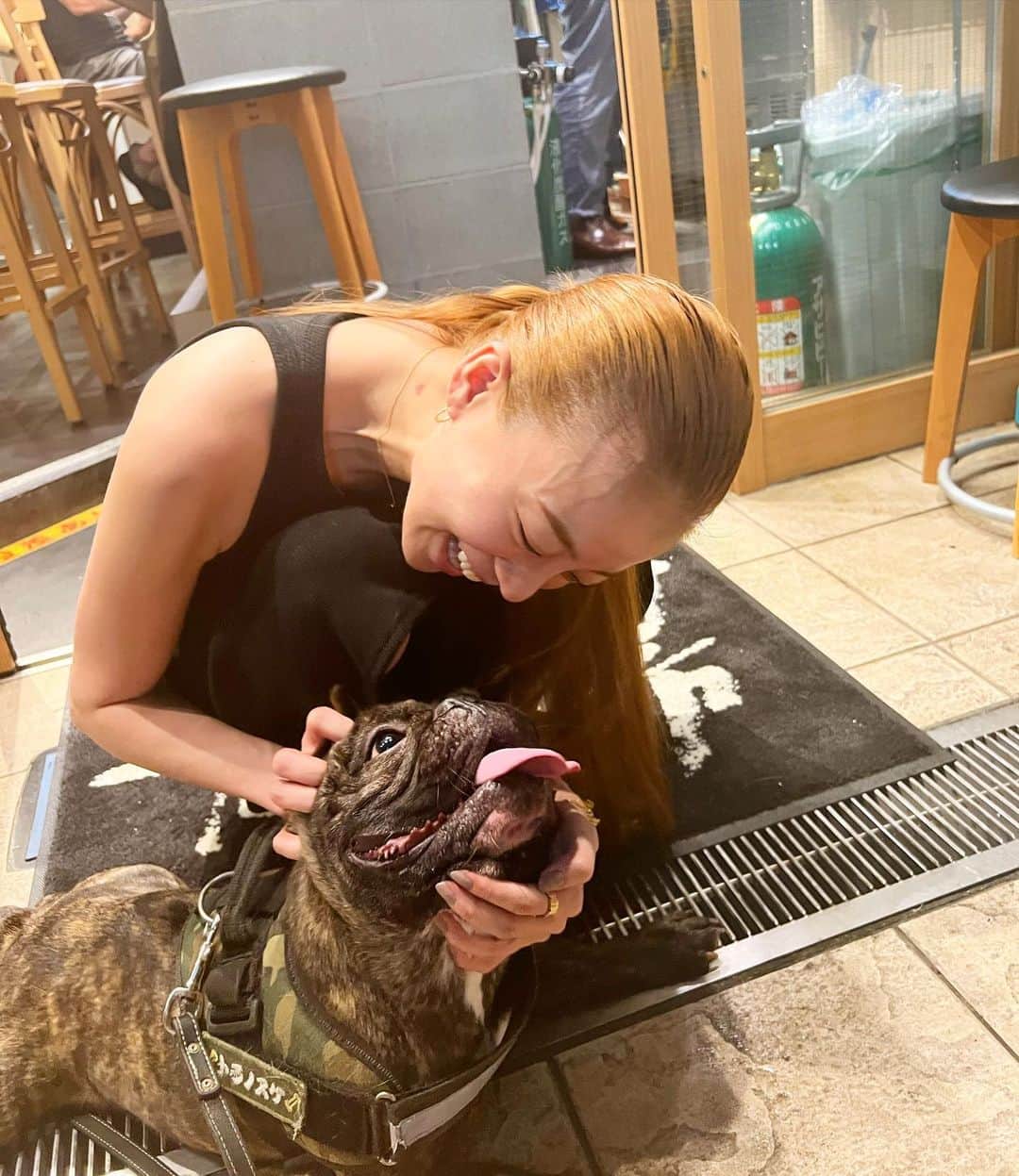 あびる優のインスタグラム：「ご飯屋さんで出会ったフレブルくん🐶💕 人懐っこくて、かわいかぁ〜🥰 おやすみなさい😴  #フレブル#フレンチブルドッグ#癒し#かわいい#🐶#❤️」