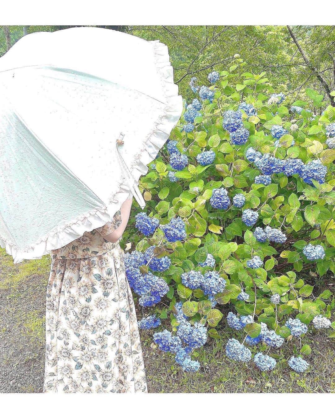 岩田陽菜のインスタグラム：「お洋服の柄は🌻で咲いてるのは紫陽花☔️  最近もまだまだじめってますなぁ〜🥺」