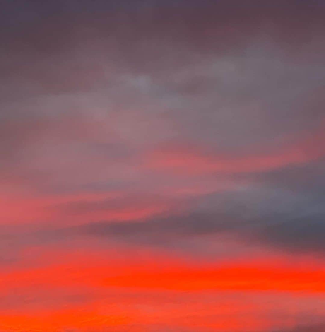 Derek Kaplanさんのインスタグラム写真 - (Derek KaplanInstagram)「Sydney .. beautiful seas, dreamy skies and sunsets 😍, endless rain (and cold Lol) plus friendships’  that will last my lifetime 🙏  *Last image artwork by artist: Louisa Bufardeci titled ‘Ground Plan’ .. world map by population, not by geographical size, made me think .. (viewing at Museum of Contemporary Art Australia).」7月20日 12時01分 - derekkaplanart