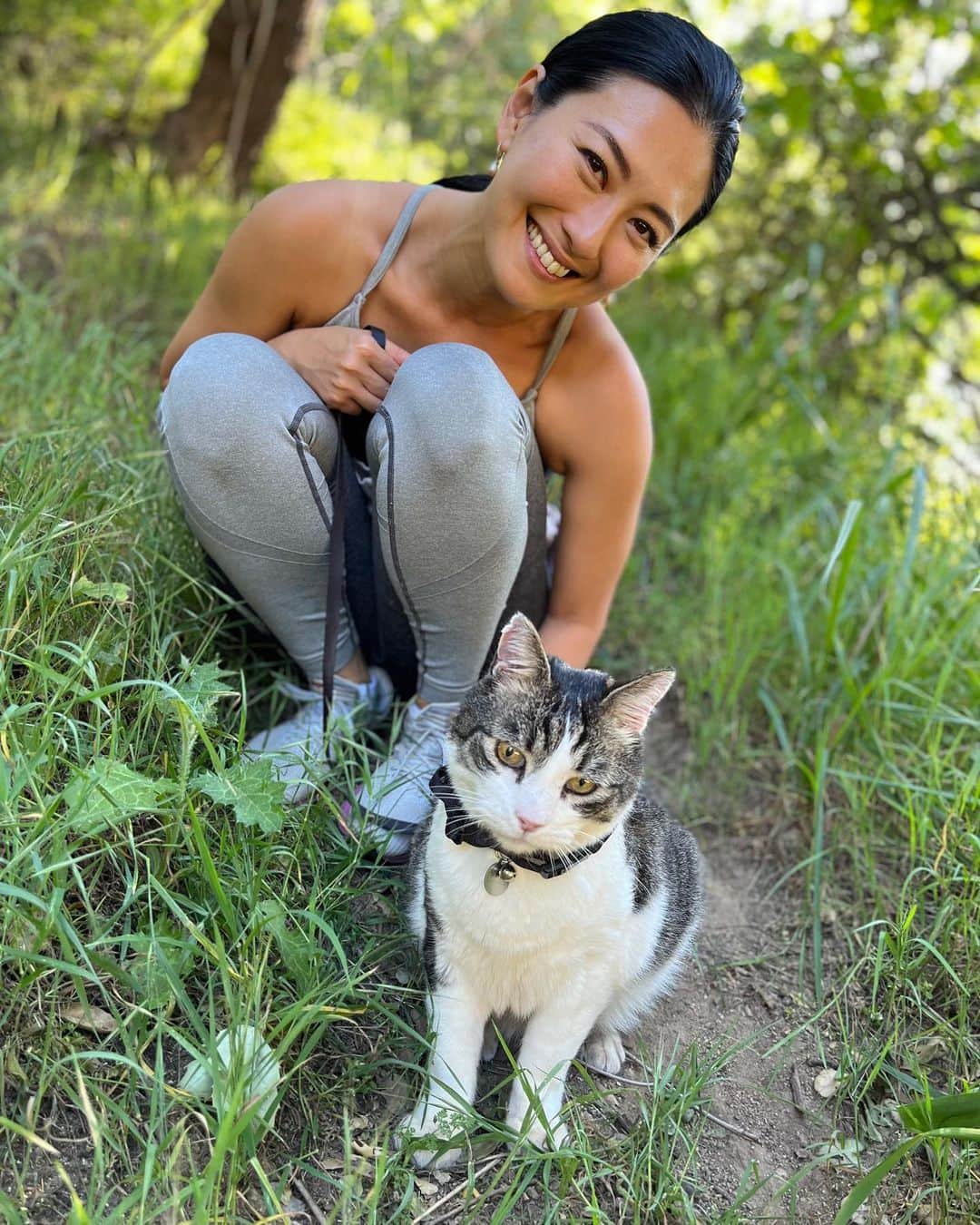矢吹春奈のインスタグラム：「This is my boy Shima-Chan 🐈 I took him to the park and at first he freaked out. I guess he thought that I was going to be dumped there. However a few minutes later he started enjoying his park adventure. 😁✨☀️✨」