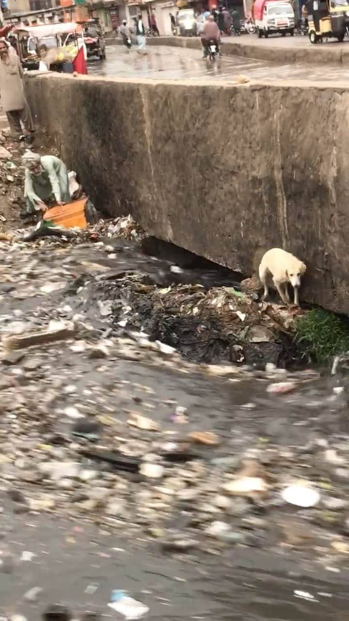 ティモシー・サイクスのインスタグラム：「Repost from @karmagawa THIS IS HEARTBREAKING, WE MUST CHANGE RIGHT NOW! ⚠️GRAPHIC WARNING, PLEASE SHARE THIS SAD VIDEO, URGENT ISSUE RIGHT NOW! ⚠️ This video of a poor dog being trapped in a dangerous fast-flowing river of trash breaks our hearts. We hope this dog somehow made it, but the reality is that tragedies like this happen worldwide every day and far too many animals don’t make it — we are killing put planet and our wildlife due to our irresponsible ways! Plastic and trash is currently piling up in our rivers and oceans at the fastest rate in history so we MUST make everyone aware about this crisis and come up with potential solutions to fix this before anymore innocent animals are killed! Please share this sad video with your followers and tag people, celebrities, influencers and news media in the comments who need to see and share it with their followers too, let’s work together to  #endplasticpollution before it’s too late! #saveanimals #helpanimals #savethereef #plasticsucks #stopplastic #karmagawa」