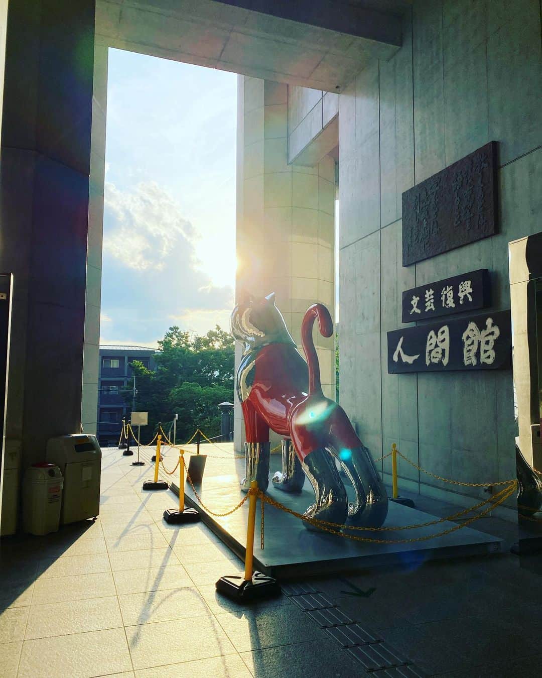 小林夏子のインスタグラム：「いいのびだな、と  #kyoto #sunset #cat #art #university #summer #counselor #days #work #plesure  #love #life #thanks」