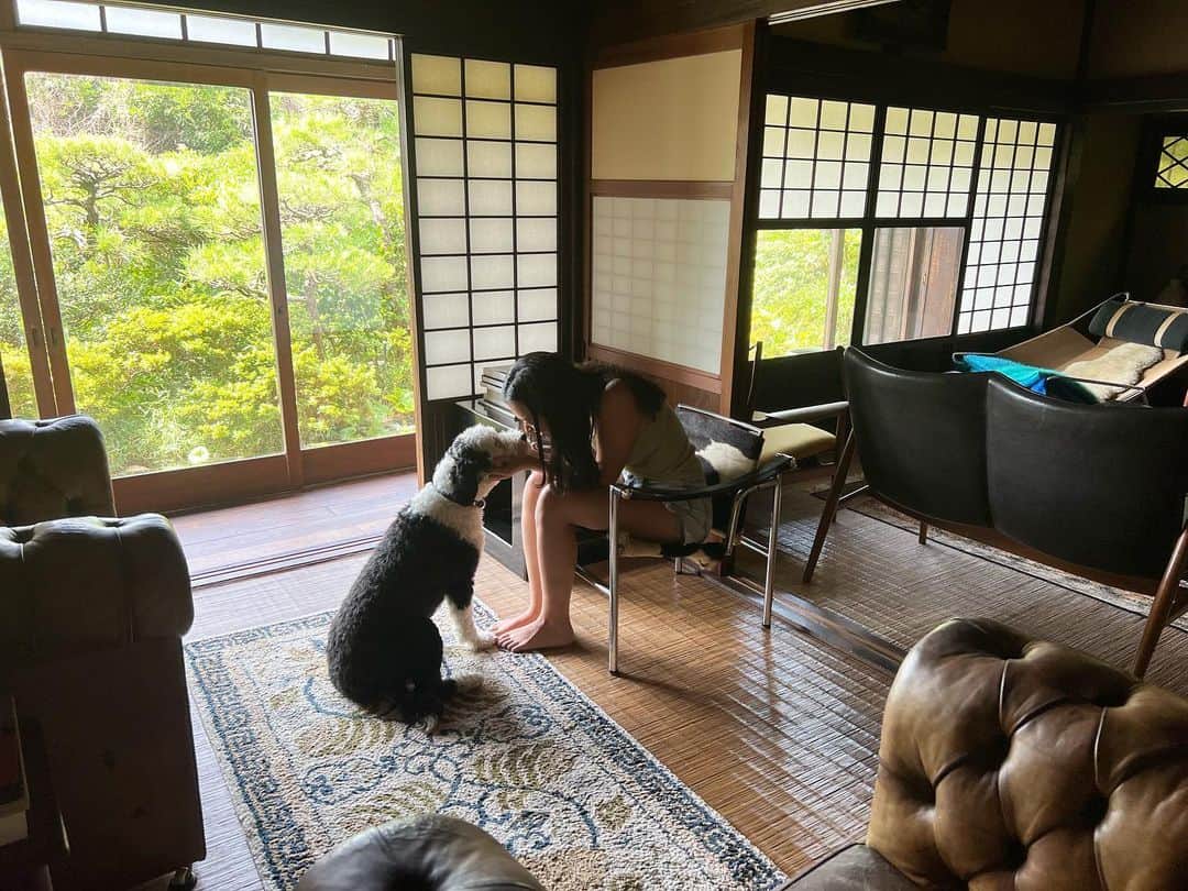 のインスタグラム：「娘とダリ。  #家族」