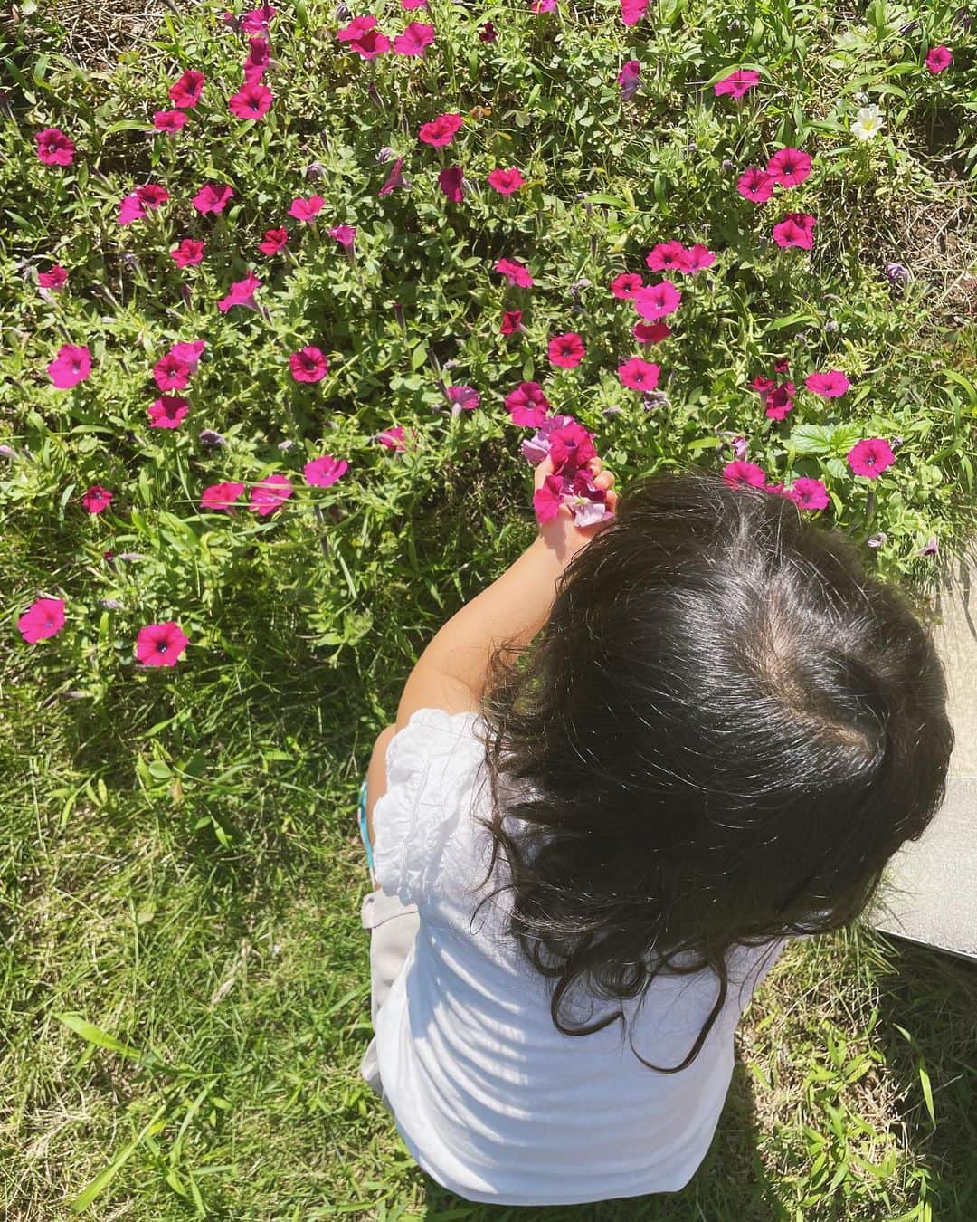 小屋春菜のインスタグラム：「姉と義兄家が8月出産という事で、娘が夏休みに入ったのでピラティスもお休みを頂きベビー用品を渡しに帰京していました🗼　今お腹にいる子はどんなお顔をしているんだろう🤍会えるのが楽しみだなぁ👶🏻🤍 娘はお花が好きで、旦那さんのお母さんがお庭に娘が摘めるようにお花を繁らせてくれたそう🌸 私も嬉しい事に最近は毎日忙しかったから、好きな物食べて好きなだけ家族と話してゆっくり過してパワーチャージ完了🫡 明日からまた頑張ろう🫶🏼」