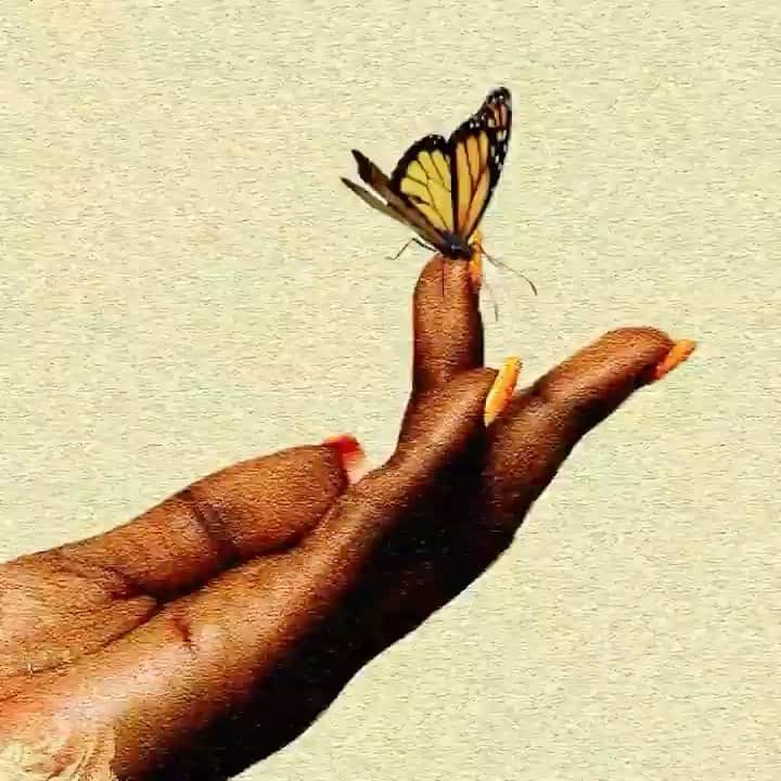 ウィンターケイトのインスタグラム：「Midweek inspiration. 🦋✨ Duality of growth via @smwallday」