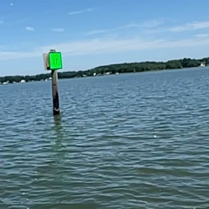 ジェフリー・ライトのインスタグラム：「Wild that my phone took this vid in slow-mo. I got goosebumps seeing this marker again after so many years. This spot is so much home to me. Too complicated to explain why. But I know why. Only 17.」