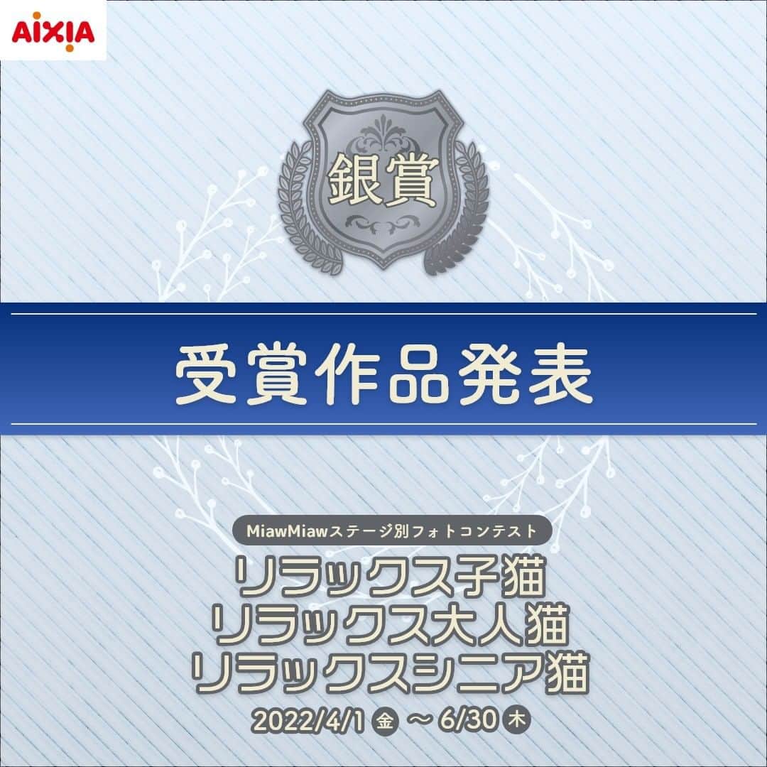 MiawMiawのインスタグラム：「＼miawmiaw_series『リラックス子猫・リラックス大人猫・リラックスシニア猫』フォトコンテスト／⁣ ⁣たくさんのご応募をいただきありがとうございました😻✨⁣  #リラックス子猫miawmiaw　#リラックス大人猫miawmiaw　#リラックスシニア猫 miawmiawをつけてご投稿いただいた中から 銀賞を受賞された9名の方と作品をご紹介します！  🎊🌈銀賞を受賞者された9名さま🌈🎊⁣ #リラックス子猫miawmiaw  @kyurun_0305 @marble820 @ceres0917  #リラックス大人猫miawmiaw @pink.rby129 @kotetsumammy @ryutamk22  ＃リラックスシニア猫miawmiaw @russiaby2 @kira.bengal_0930 @nyanko0296  🏆銀賞🏆おめでとうございます👏👏 ⁣ 今後ともmiawmiaw_series アカウントをよろしくお願いいたします。⁣ 当アカウントの詳細はプロフィール欄のURLをクリック！⁣ → @miawmiaw_series  #miawmiaw #ねこのいる生活 #ねこばか #ネコ好き #猫 #ねこ #ネコ #にゃんこ #cat #cats #猫部 #ネコ部 #ねこ部 #猫好きさんと繋がりたい #猫好き #ペット #pet #にゃんこ部 #にゃんすたぐらむ #ねこすたぐらむ #キャンペーン #フォトコンテスト #プレゼント #プレゼント企画」