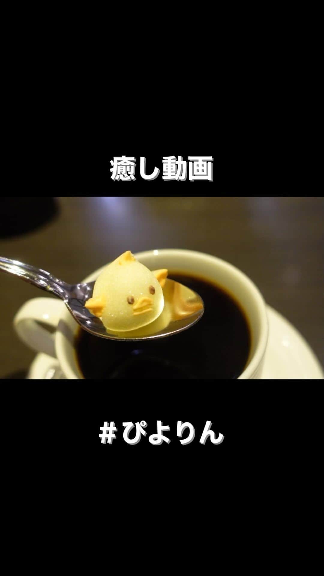 のインスタグラム：「疲れた時にみる動画 #ぴよりん  あと一日頑張りましょう🫶 #木曜日」