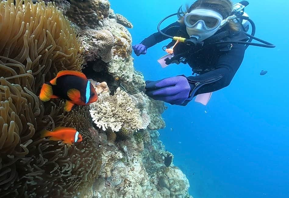 狩野舞子さんのインスタグラム写真 - (狩野舞子Instagram)「癒しの時間…🐠🪸 ・ #diving #クマノミ #ニモ」7月21日 19時30分 - kanochan715