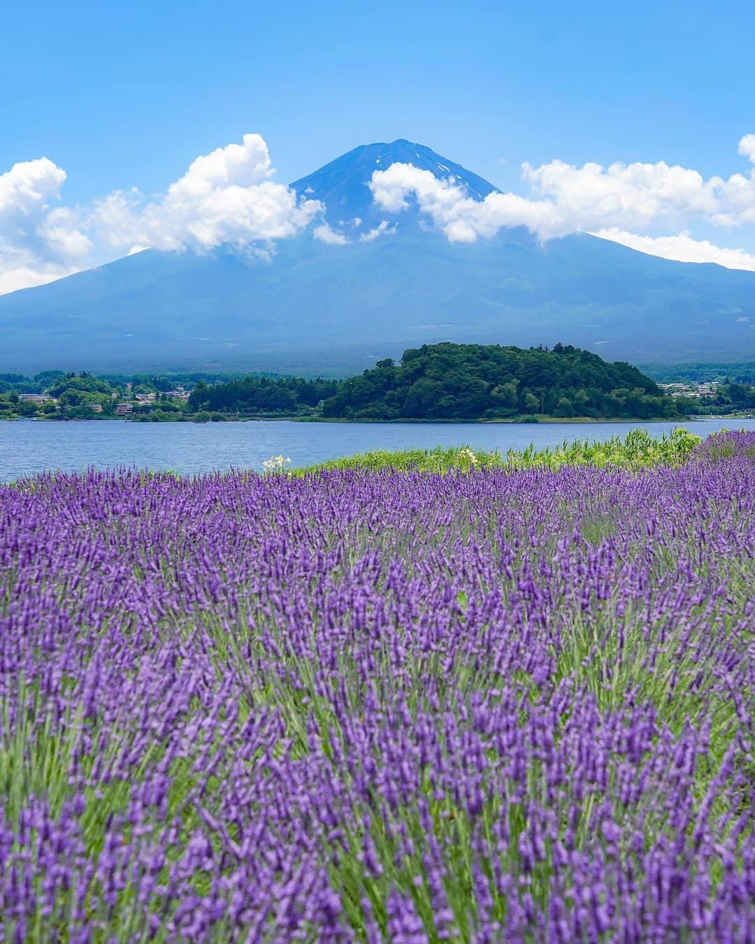 田島知華さんのインスタグラム写真 - (田島知華Instagram)「【Japan🇯🇵Yamanashi】 先日、日帰りで河口湖へ。 一年でこの時期しか見られない富士山×河口湖×ラベンダーの絶景。 毎年行きたいと思いながらタイミングが合わなかったけど、お天気の良い日を狙って行ってきました✨ Copyright © TAJIHARU  PENTAX K-1 MarkⅡ HD PENTAX-D FA 28-105mmF3.5-5.6ED DC WR _ #たじはるトリップ #TAJIHARU_japan #日本 #山梨 #富士山 #河口湖 #大石公園 #ラベンダー #日本の夏 #カメラ女子 #国内旅行 #japan #yamanashi #mtfuji #lakekawaguchi #lavender #japantrip #reflection #igersjp #ptk_japan #photo_jpn #lovers_nippon #japan_daytime_view #bestjapanpics #beautifuldestinations #earthpix #discoverearth #wonderful_places #awesome_phototrip」7月21日 19時34分 - haruka_tajima