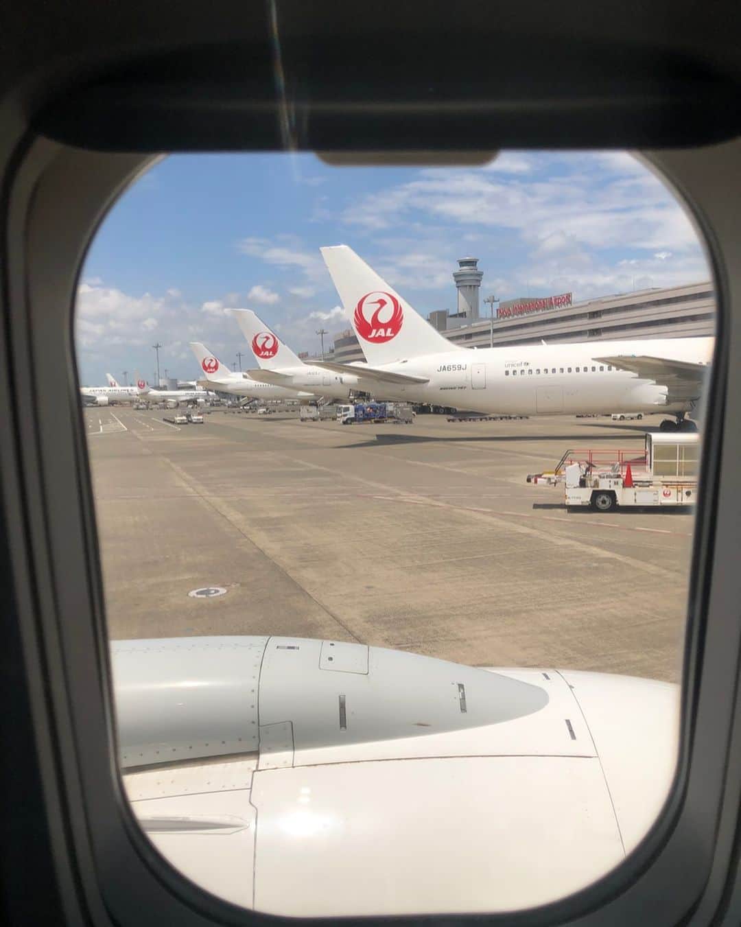 山本凌雅のインスタグラム：「良い光景✈️ #jal #飛行機 #空の旅」
