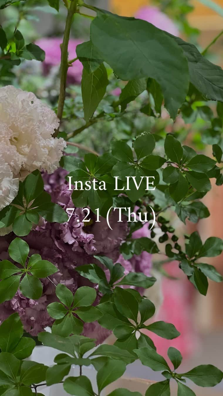 EPOCAのインスタグラム：「7.21 Insta LIVE @ MARUNOUCHI  #epocatheshop #selectshop  #chloe #marni #marmors #redvalentino #tadashishoji #dainevonfurstenberg #msgm #flicka  #marilynmoon  #mullerofyoshiokubo  #moncler  #no21  #nearnippon #mihokosaito #pellico #fabiorusconi #classic #mariha #marmors  #newseason  #feminine #alors」