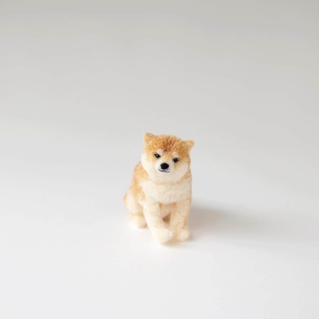 黒田翼（動物ぽんぽん）さんのインスタグラム写真 - (黒田翼（動物ぽんぽん）Instagram)「.shiba dog  お柴さま。 今までいろいろな動物を作ってきたけれど、ゆいいつ長く一緒に暮らしたことのある動物は柴犬だけ。 ラブリーポイントが多すぎて、表現しきれません。 そのおててに、おでこに、せなかに触れたいよ。  You're so lovable to me🐕❤️  #shibainu #shibadog #shiba #柴犬 #動物ぽんぽん #ぬいぐるみぽんぽん #毛糸のぽんぽん #woolanimals #trikotri #pompom #trikotripompom」7月22日 2時04分 - trikotri222