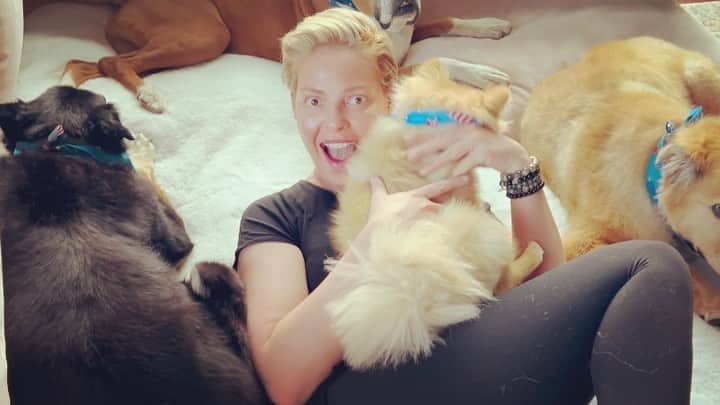 のインスタグラム：「The best part of this video is my Naleigh Moon’s giggle at the end! I live to make my teenager giggle. It is my life’s purpose. 😏❤️  #dog #rescuedogs #rescuedog #family」