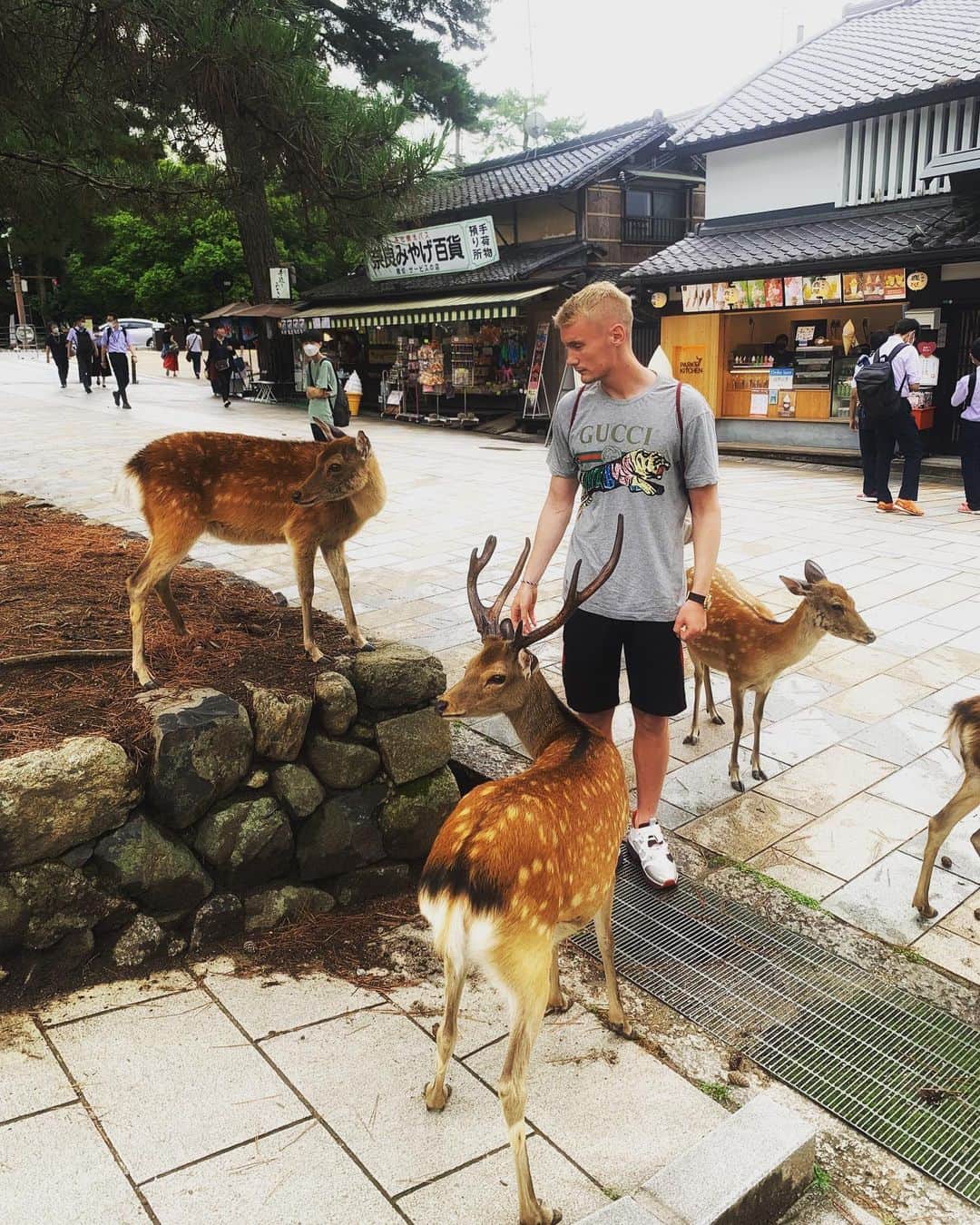 ルドゥウィッグ・オーマンのインスタグラム