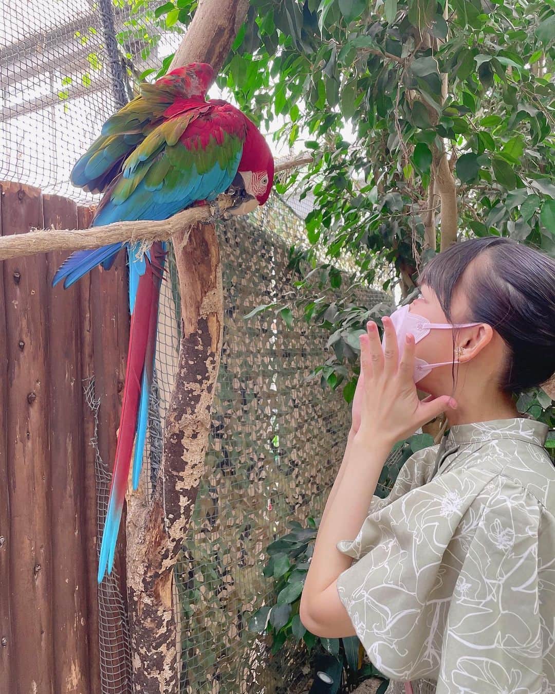 福田朱里さんのインスタグラム写真 - (福田朱里Instagram)「動物園デート①🐱💞 神戸どうぶつ王国、いままで行った動物園でいちばん楽しかった！ ポートライナーの駅からすぐでアクセスもいいし、兵庫の人が羨ましい。  鳥とかも自由に飛びすぎやし床に行きもの沢山おるし動物近すぎて、神戸どうぶつ近すぎ王国に変えた方がいいとおもった🐯  夏休みに家族でいくのもいいし、おとなひとりでも楽しめる！ドクターフィッシュもあるし。オオカミさんもかっくいーし。夢食べるやつもおったし。レッサーパンダ真上におるし。どうぶつの森の世界すぎたよ。  生き物すごすぎて普通に感動した。 瀬戸内おすすめスポット認定🐦  #神戸どうぶつ王国 #瀬戸内PR部隊 #瀬戸内 #兵庫旅行 #兵庫 #神戸観光 #神戸 #動物園巡り #動物園デート #ポニーテール #福田朱里 #アイドル #鳥 #花鳥園 #ポートアイランド #コンゴウインコ #ゾウガメ #ポートレート写真 #夏休み旅行 #スナネコ #瀬戸内 #STU48 #zoo #japantravel #japantrip #Japan #japanesegirl #summer #miumiu #dazzlin #idol」7月22日 17時33分 - akaringo_stu48