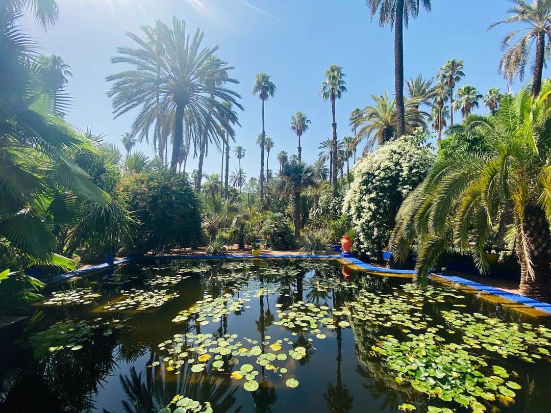 ユナ・デュフネのインスタグラム：「Jardin Majorelle & Musée YSL 🌵🇲🇦 . . . #Maroc #Jardin #Majorelle #Beaute #Nature #Cactus #YSL #Vert #bleumajorelle #Colors #peaceful #holidays」