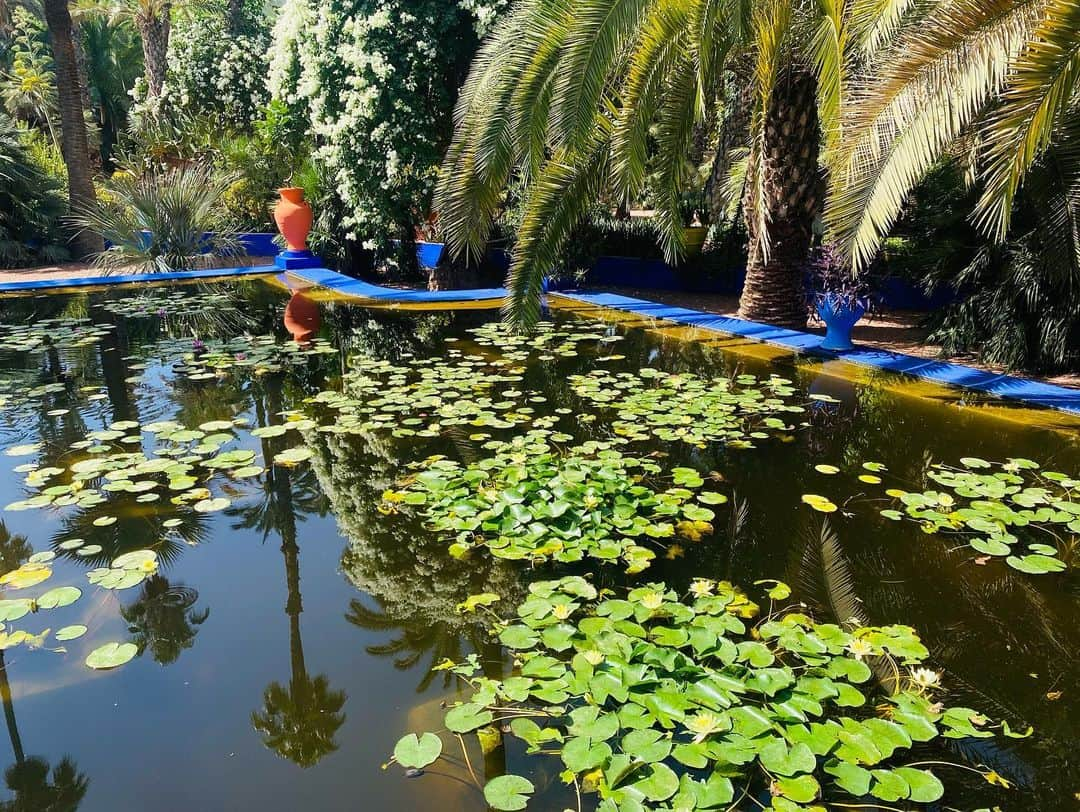 ユナ・デュフネさんのインスタグラム写真 - (ユナ・デュフネInstagram)「Jardin Majorelle & Musée YSL 🌵🇲🇦 . . . #Maroc #Jardin #Majorelle #Beaute #Nature #Cactus #YSL #Vert #bleumajorelle #Colors #peaceful #holidays」7月23日 3時51分 - youna_d