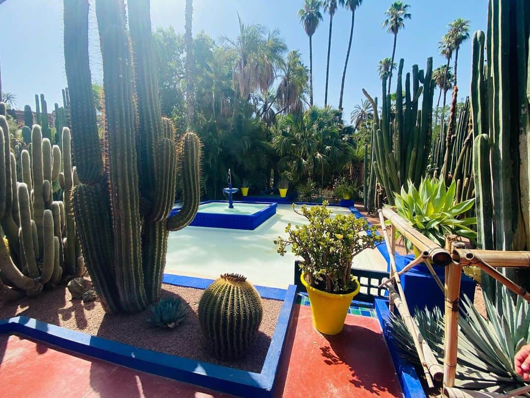 ユナ・デュフネさんのインスタグラム写真 - (ユナ・デュフネInstagram)「Jardin Majorelle & Musée YSL 🌵🇲🇦 . . . #Maroc #Jardin #Majorelle #Beaute #Nature #Cactus #YSL #Vert #bleumajorelle #Colors #peaceful #holidays」7月23日 3時51分 - youna_d