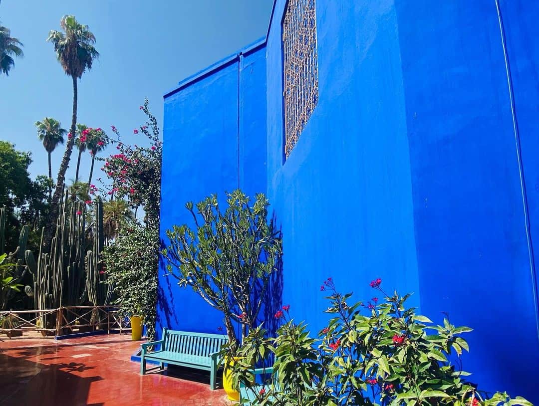 ユナ・デュフネさんのインスタグラム写真 - (ユナ・デュフネInstagram)「Jardin Majorelle & Musée YSL 🌵🇲🇦 . . . #Maroc #Jardin #Majorelle #Beaute #Nature #Cactus #YSL #Vert #bleumajorelle #Colors #peaceful #holidays」7月23日 3時51分 - youna_d