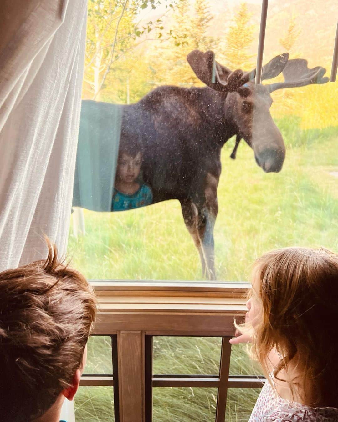 ベン・フェルドマンのインスタグラム：「Wholesome Wyoming content dump to cleanse your feed」