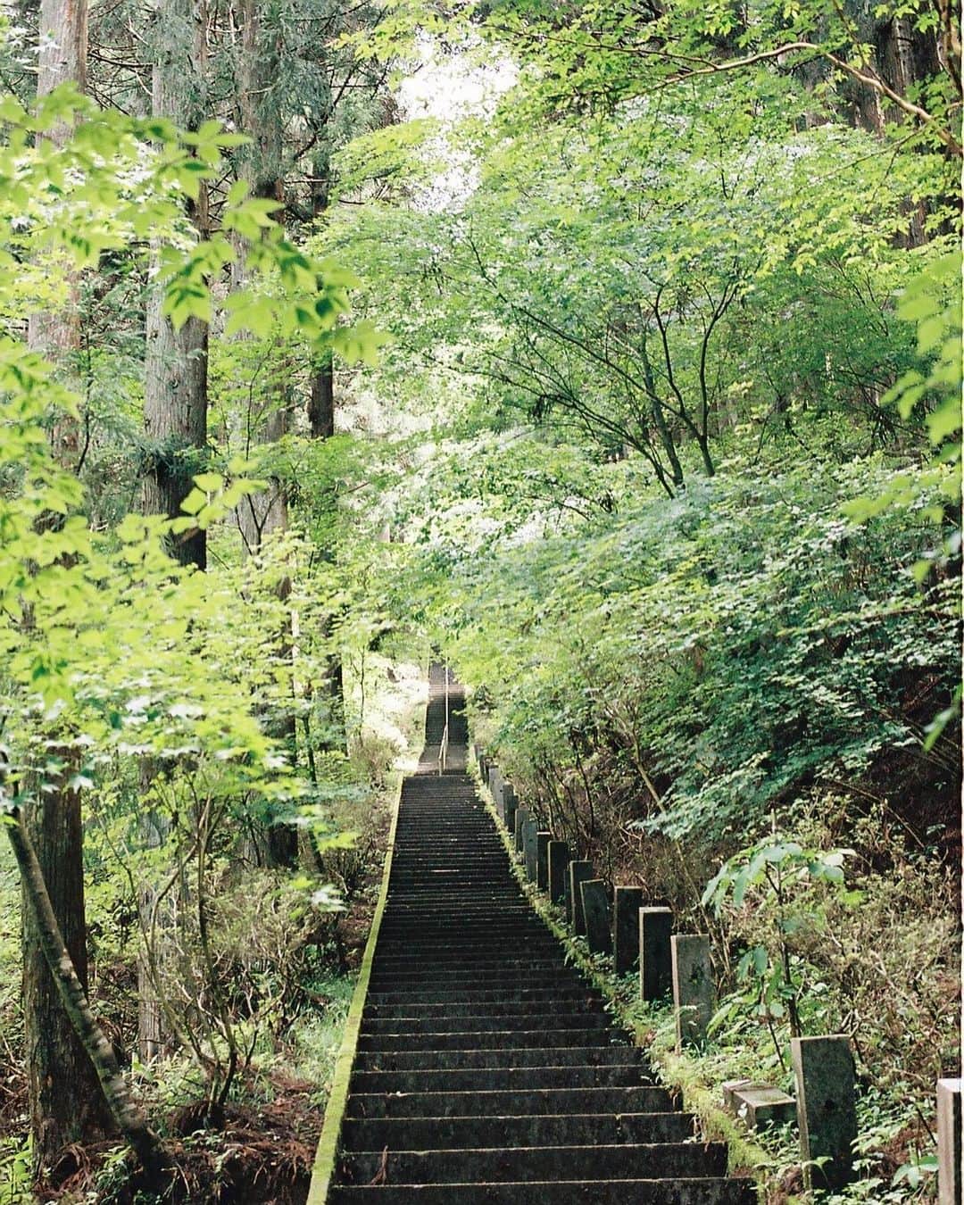 のインスタグラム：「石割神社。とても素敵なところでした📸 この階段きつかった〜笑  #わた婚 8話見逃し配信もよろしくお願いします！ @kei.umi_watakon」