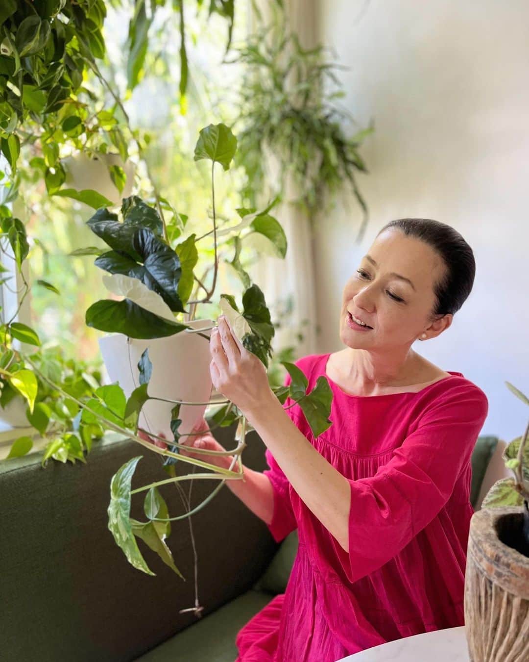 のインスタグラム：「〜おすすめの観葉植物〜  シンゴニウム・フレンチマーブル  濃いグリーン、淡いグリーン、クリーム色のマーブル模様がとてもキレイで見とれてしまいます。 斑の入り方も葉っぱそれぞれに違います。 サトイモ科で、熱帯アメリカ原産。 耐陰性があり、育てやすいです。  #桐島かれんの緑のある暮らし #シンゴニウムフレンチマーブル#観葉植物#frenchmarblesyngonium」